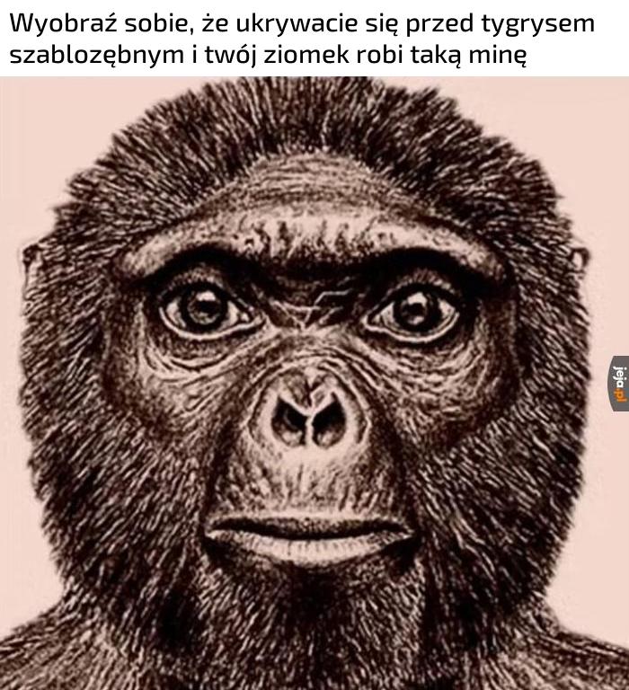 Przez ciebie wszyscy zginiemy!
