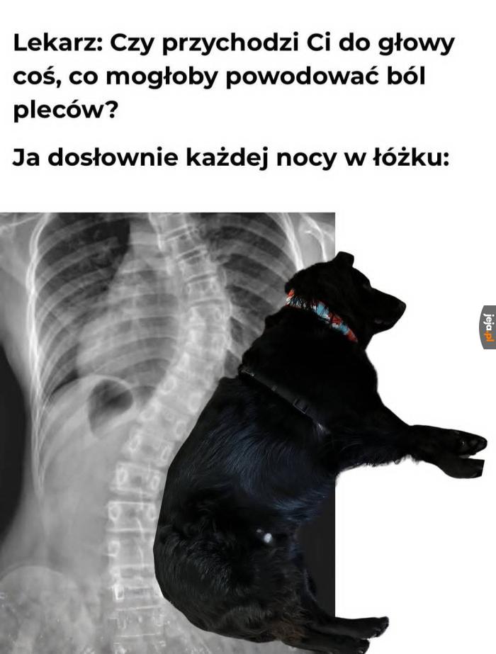 Przepycha mnie