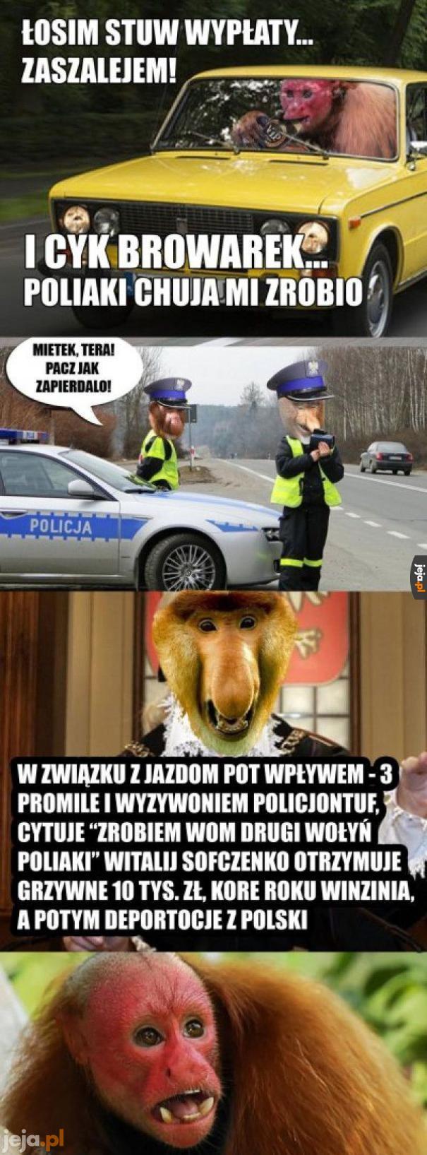 Ukrainiec