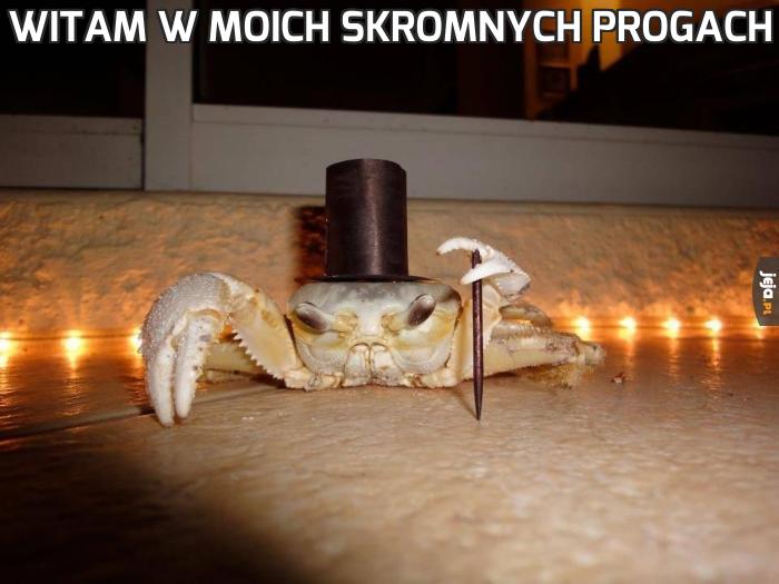 Witam w moich skromnych progach