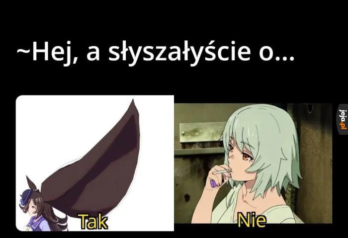 Uszy