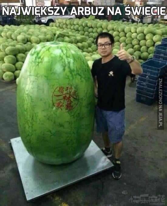 Największy arbuz na świecie