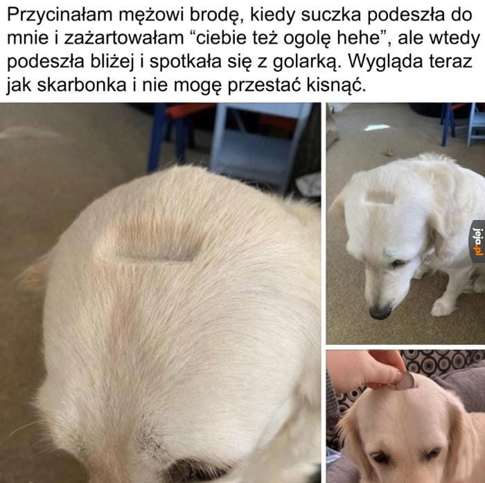 Chyba został oficjalnym bankiem PKO