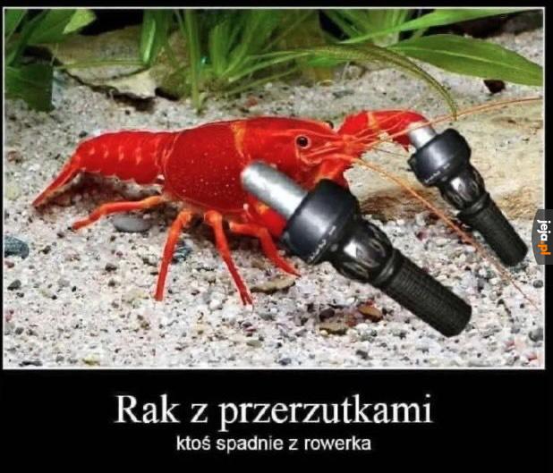 Koniec imprezy