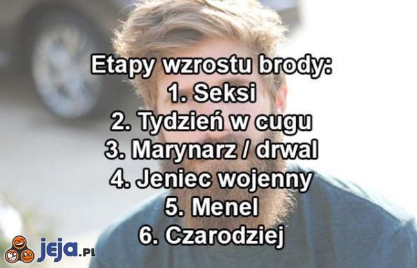 Etapy wzrostu brody