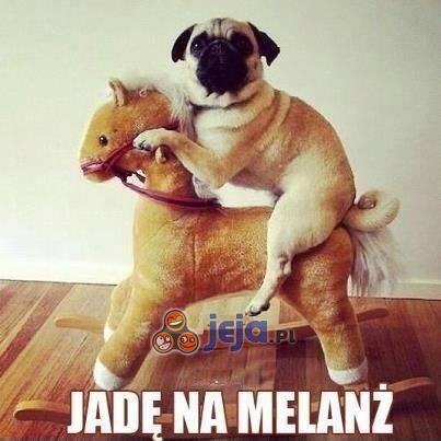 Jadę na melanż