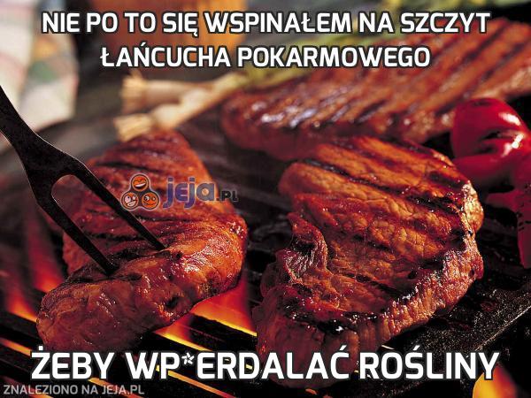 Nie po to się wspinałem na szczyt łańcucha pokarmowego