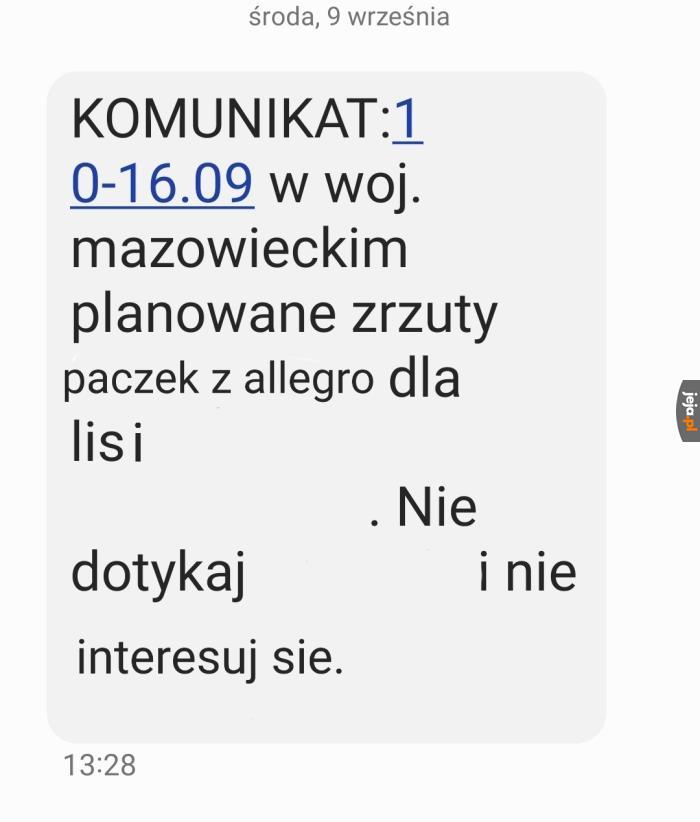 Juz wiadomo gdzie nocą tutaj Liś