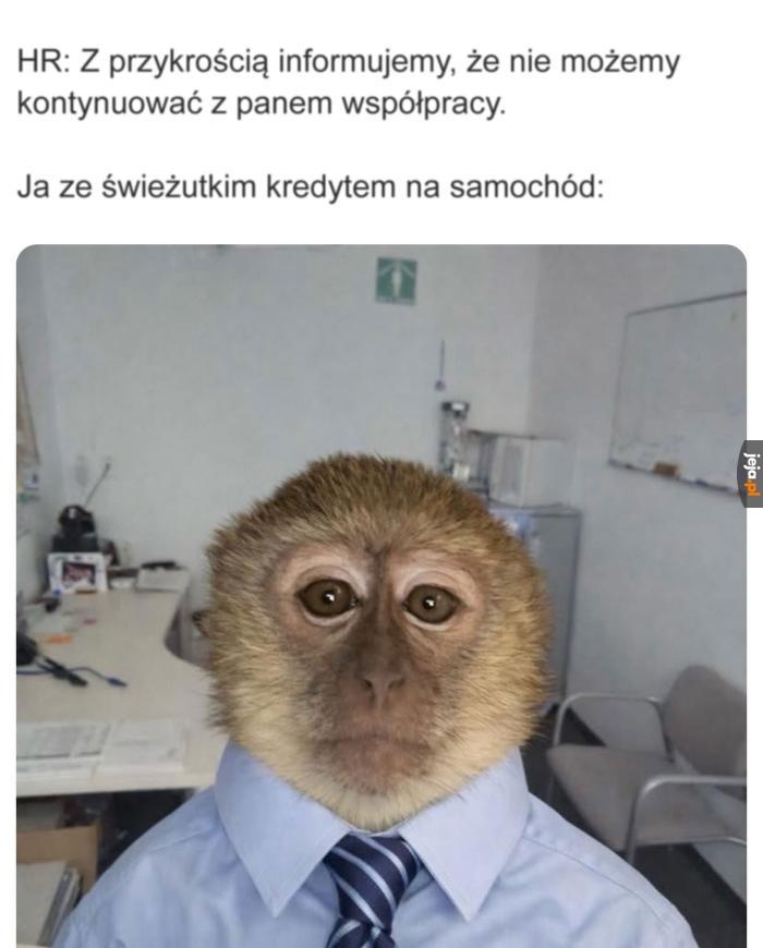 Rozumiem. Może pani otworzyć okno?