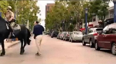 Uważaj, bo koń ci odda!