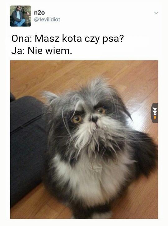 A czemu by nie mieć obu?