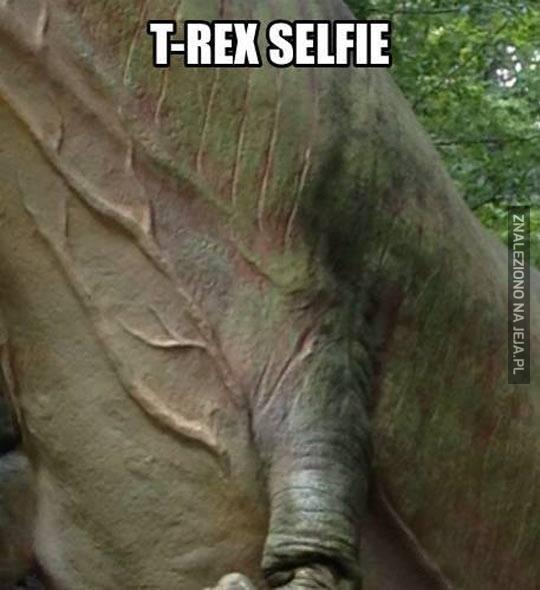 Samojebka T-Rexa