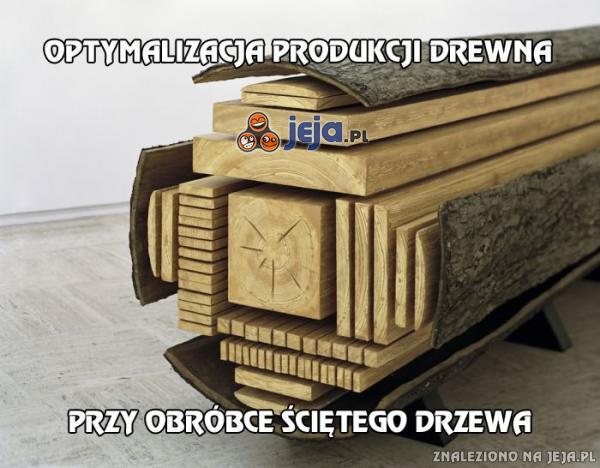 Optymalizacja produkcji drewna
