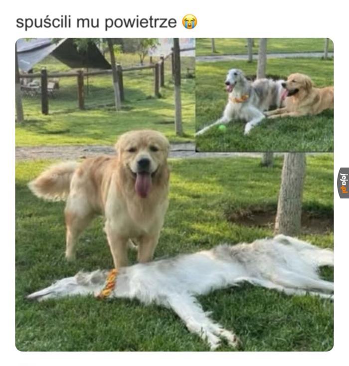 Tak się łatwiej mieści w szafie