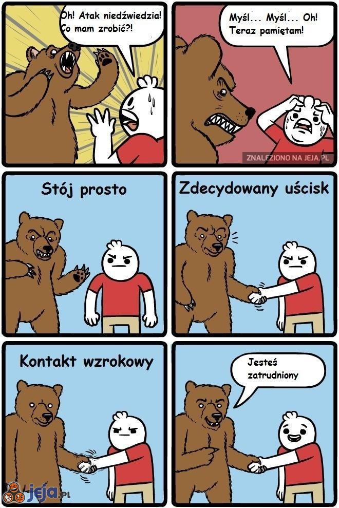 Atak niedźwiedzia