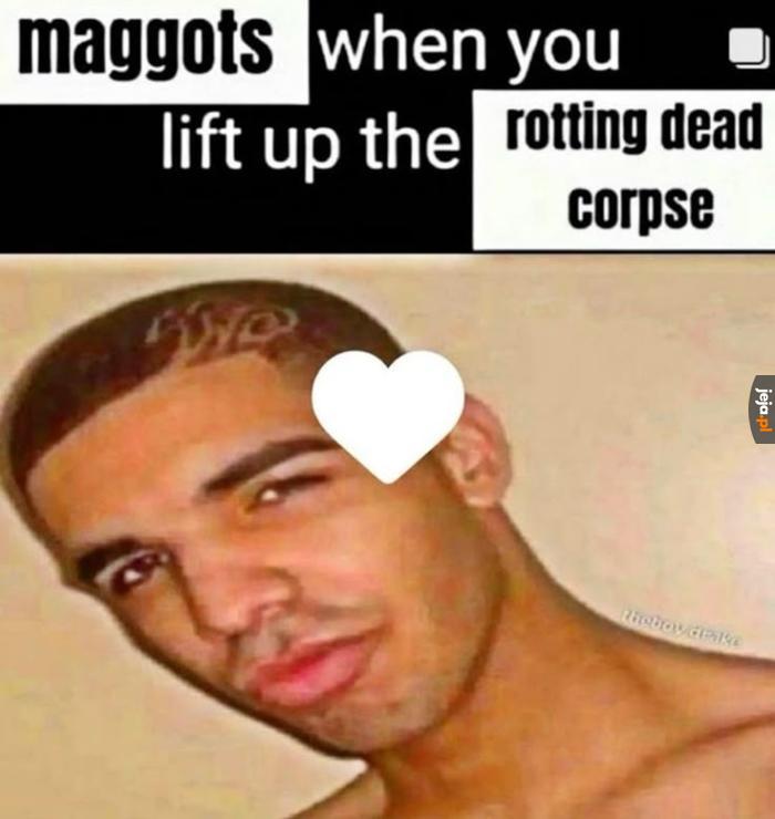 Od 4 dni takie coś dzieje się w 51.663690, 16.547306 🤣🤣🤣😂😂