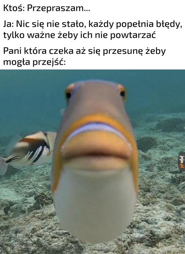 No przesuń się!