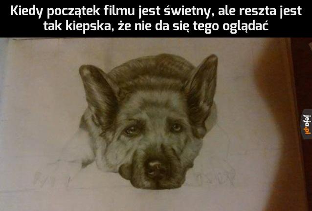 Szkoda czasu