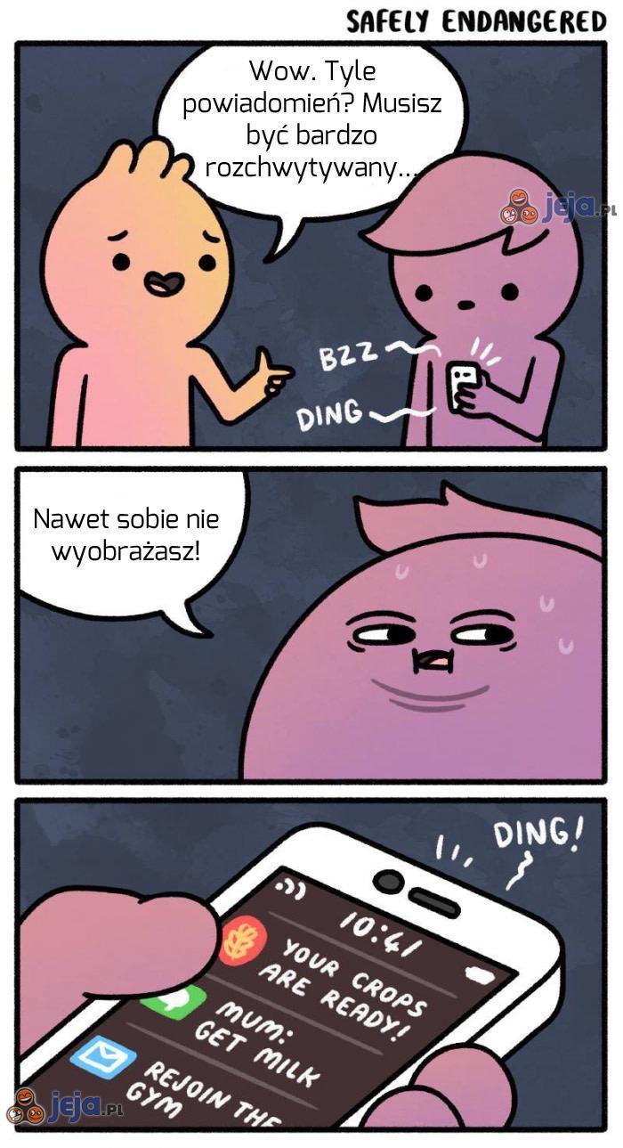 Rozchwytywany typ