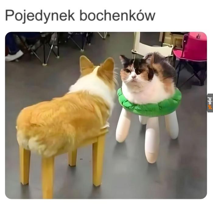 Niech wygra najchlebszy