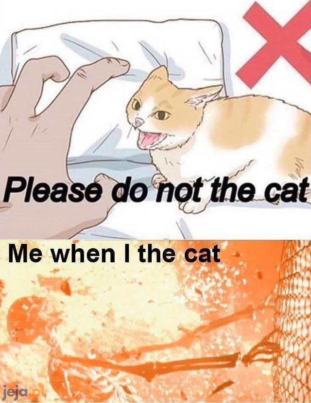 You can't the cat