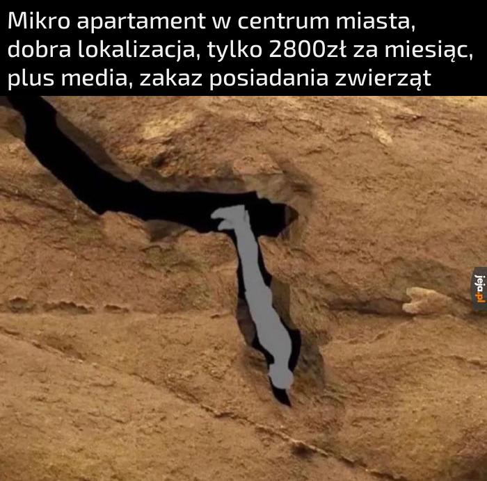 Blat kuchenny ma całe 12cm!