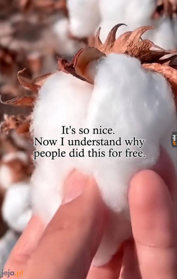 Wow