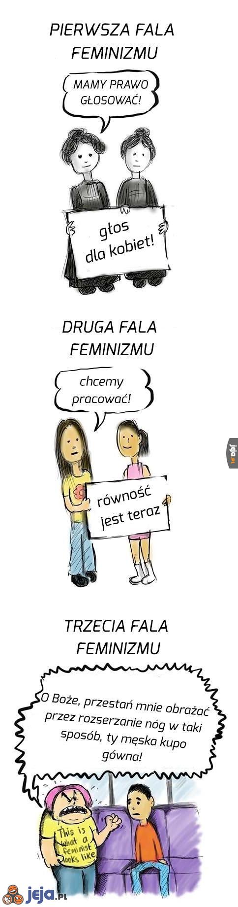 3 fale feminizmu