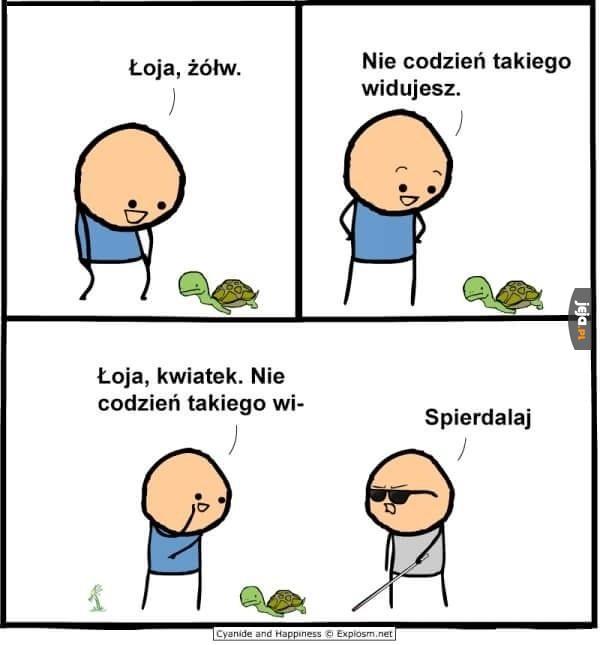Natura taka piękna