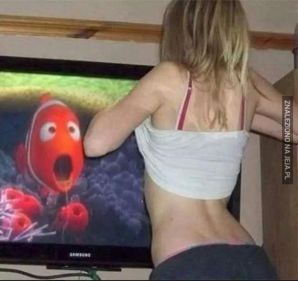 Już wiemy dlaczego uciekł Nemo