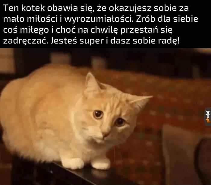 Przytul siebie od kotka