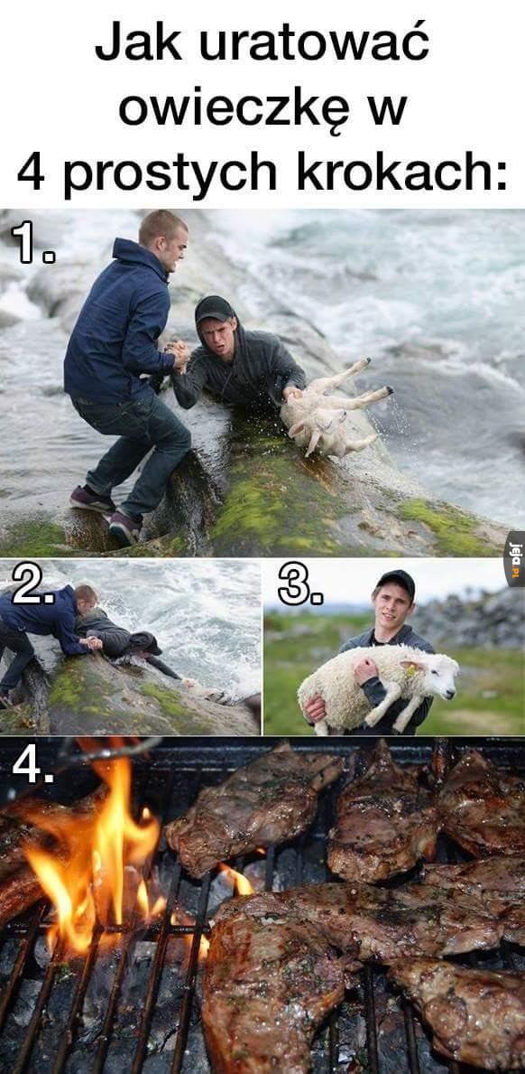 Jak uratować owieczkę