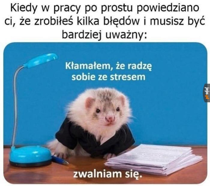 Mam nową pracę, znam ten ból