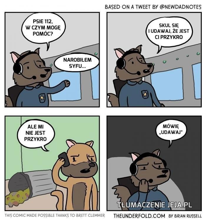 Z życia psa
