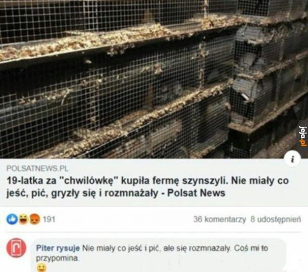 Ciekawa inwestycja