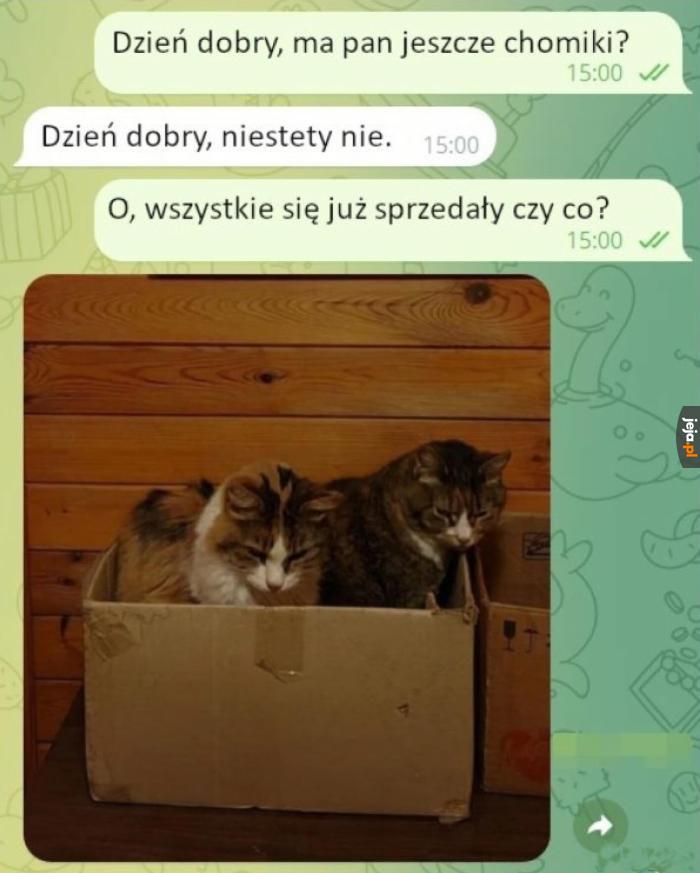 Doszło tu do zbrodni