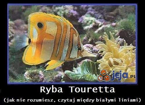 Ryba Touretta