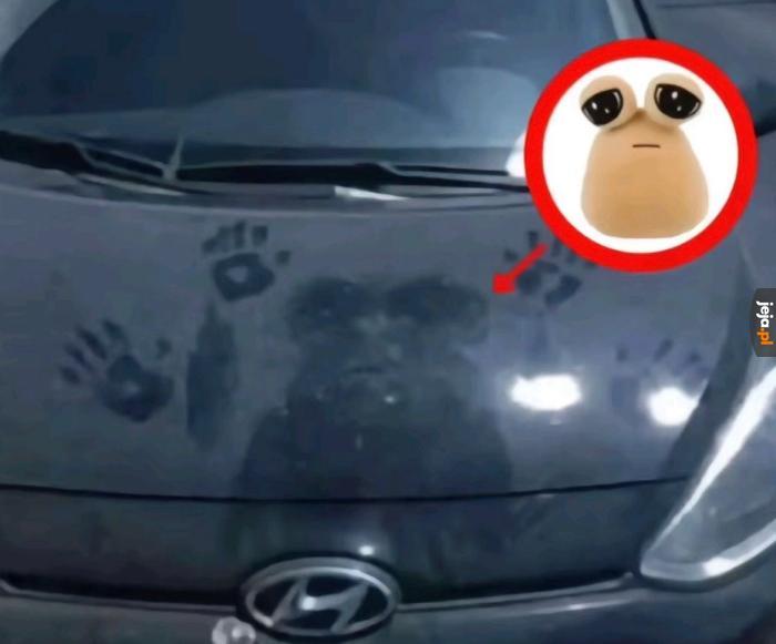 Co mu zrobili... :(