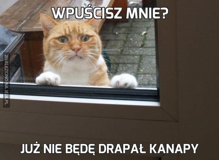 Wpuścisz mnie?
