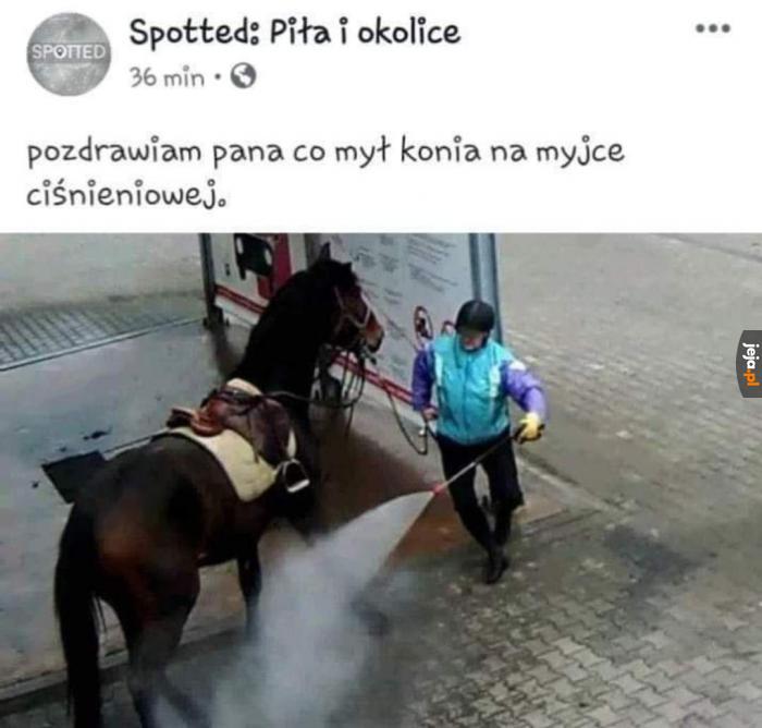 Nie ma zakazu
