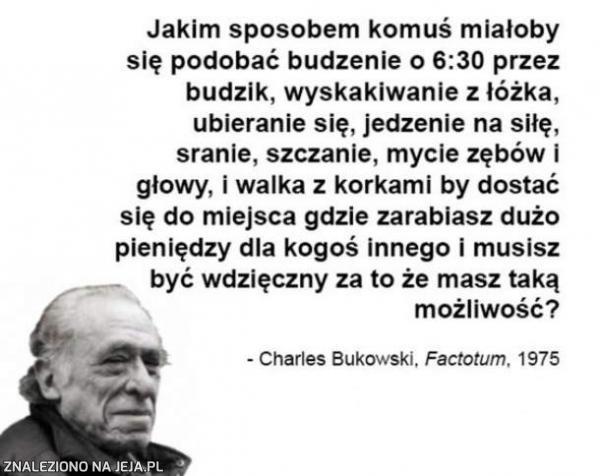 Czy komukolwiek się to podoba?