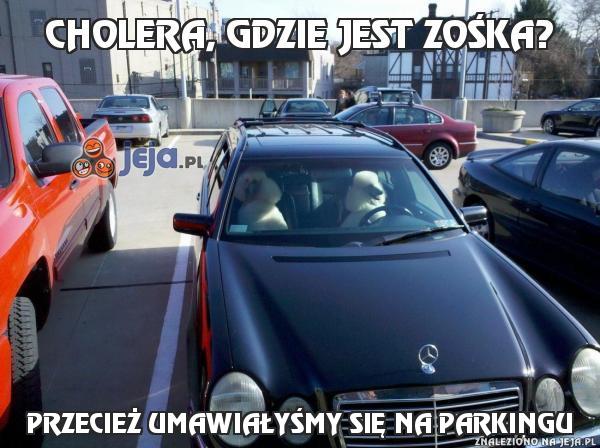 Cholera, gdzie jest Zośka?