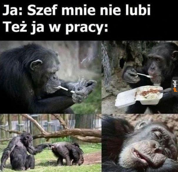 Gnojek uwziął się na mnie!