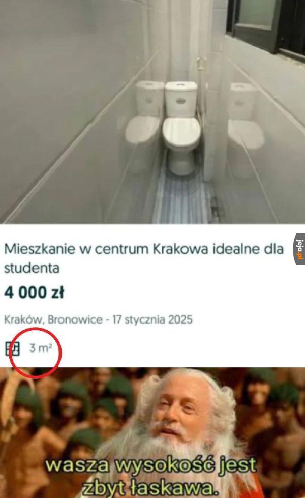 Szczupłego studenta*