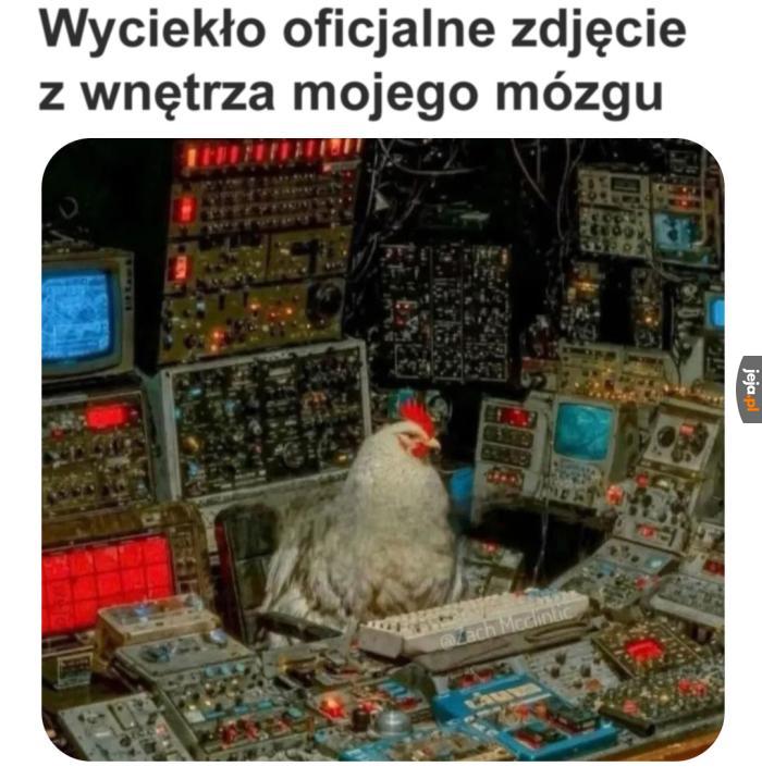 Tylko nikomu nie pokazuj