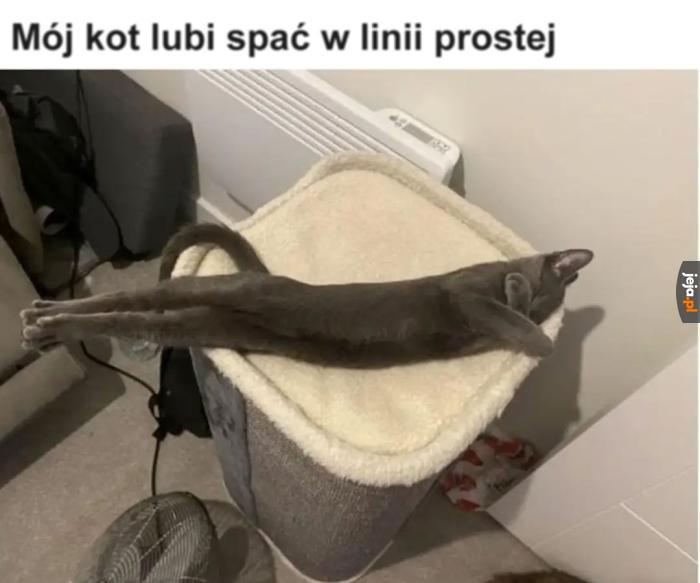 Skoro lubi...