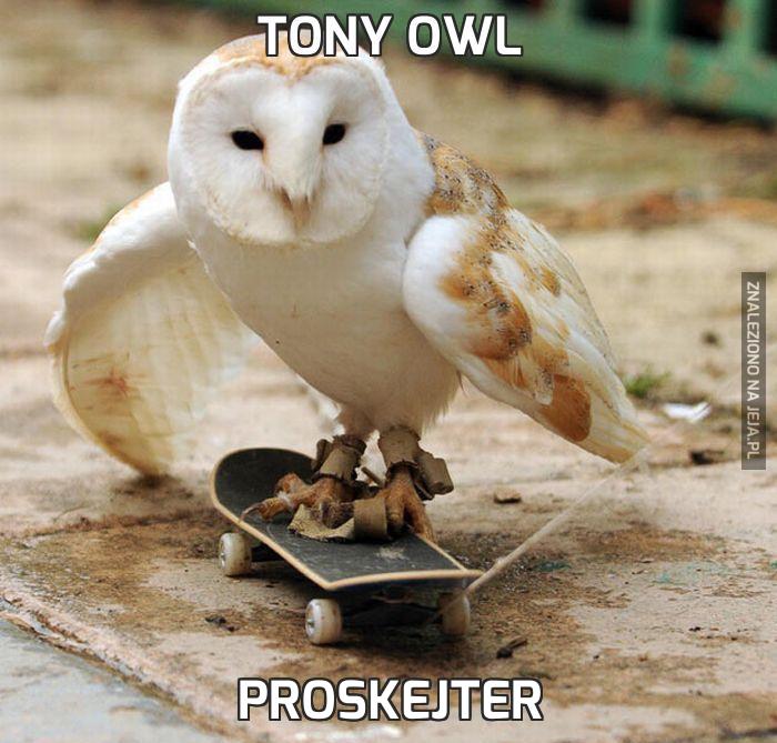 Tony Owl