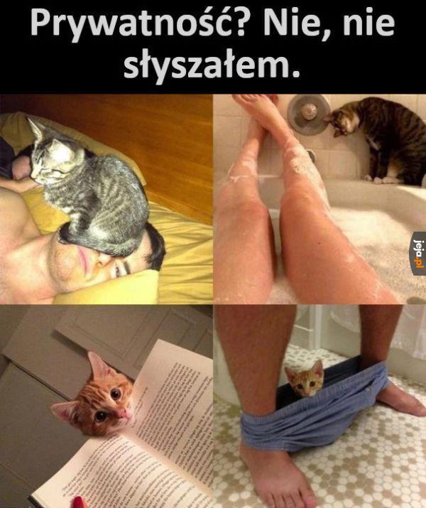 A cóż to takiego?