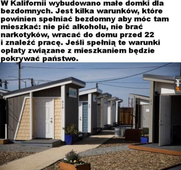 Populacja: Zero