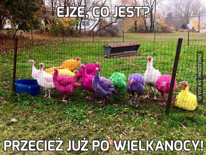 Ejże, co jest?